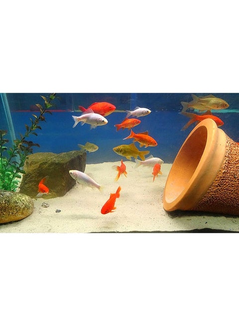 Soft & Clean 1kg EGYPTIAN Sand Bag, Swimming Pool Filter Sand for above & Inground Pools LANDSCAPING, INDOOR & OUTDOOR